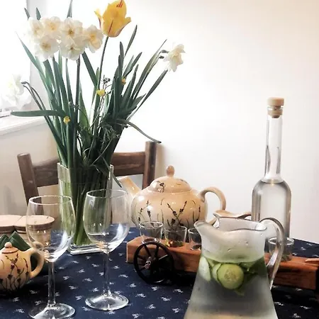 Balaton Палознак