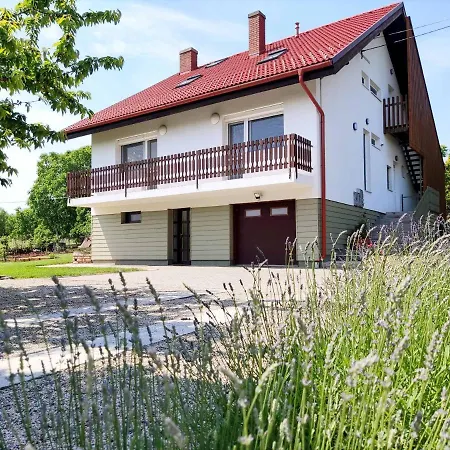 Balaton Палознак